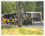 bus1-150